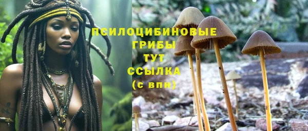 ГАЛЛЮЦИНОГЕННЫЕ ГРИБЫ Алексин