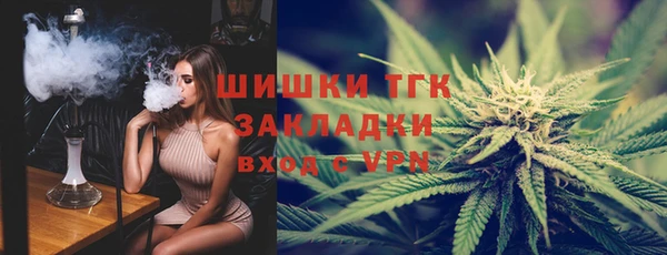 ГАЛЛЮЦИНОГЕННЫЕ ГРИБЫ Алексин