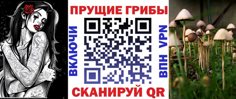 Псилоцибиновые грибы MAGIC MUSHROOMS  закладка  hydra онион  Еманжелинск 